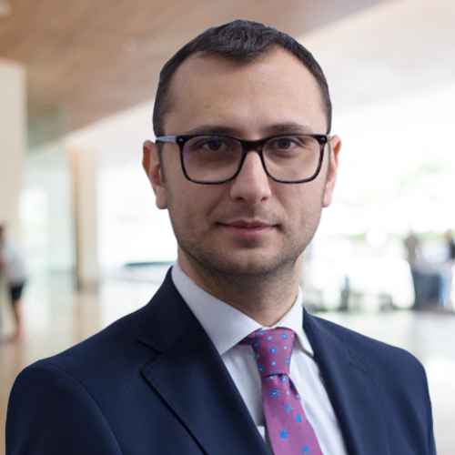 Teodor Dulceață, Secretar General Adjunct - Ministerul Mediului, Apelor și Pădurilor și Membru în Consiliul de Supraveghere al RetuRO